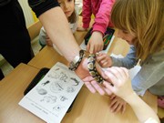 Přírodovědný program - Plazi a žáby